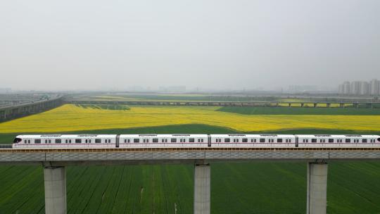 武汉地铁16号线穿越油菜花海绿色麦浪