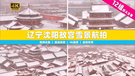 【合集】中国辽宁沈阳故宫冬季航拍雪景