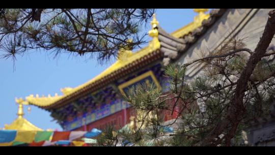 西安城市印迹-广仁寺4视频素材模板下载