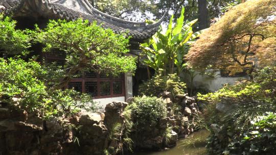 上海豫园中的绿色植物