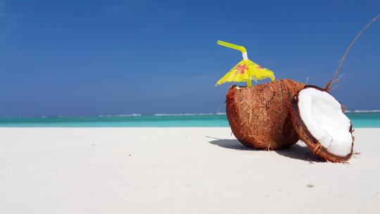 白沙滩上有个椰子