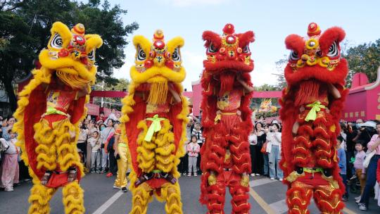 春节过年舞狮中国传统文化喜庆