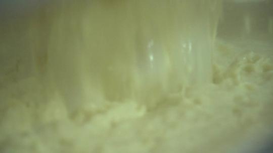 豆制品加工 豆浆 豆腐 豆皮 (16)视频素材模板下载