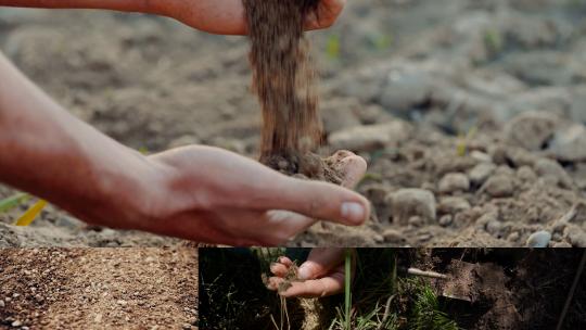 肥沃的土壤特写手中的土壤农民检测土壤土质
