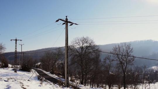 雪景下山村公路边的电线杆