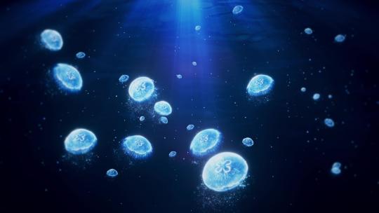 海底水母视频素材模板下载