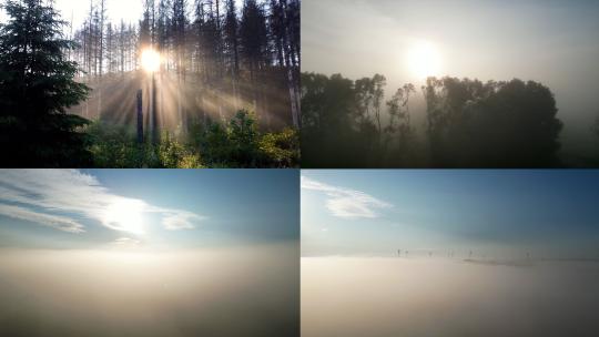 迷雾森林浓雾阳光穿过雾气森林丁达尔光