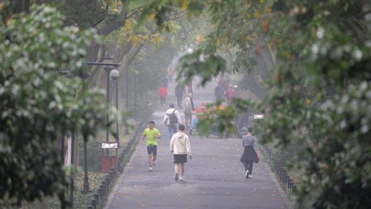 杭州西湖苏堤风景实拍