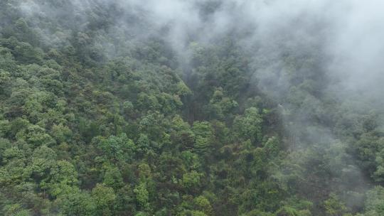 烟雨云雾缥缈的大山