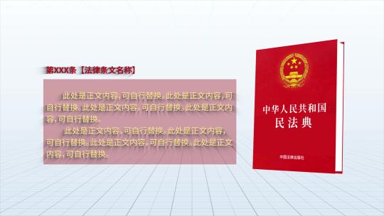 民法典法律条例展示