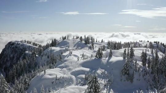 20组雪花转场AE模板