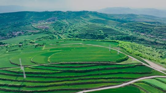 麦田 麦地梯田