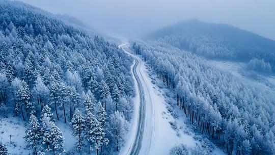 唯美雾凇 大雪雪景