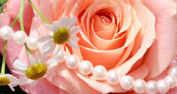 珍珠与鲜花 鲜花 珍珠 少女感视频素材模板下载