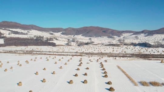 4k航拍雪后的山林