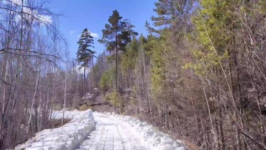 行驶在崎岖颠簸的森林雪路上