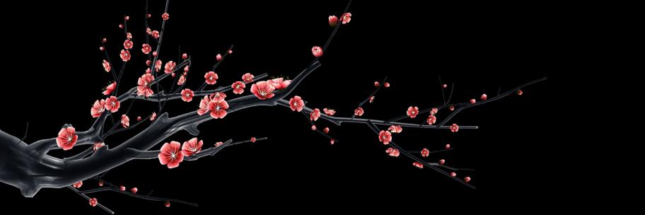 3D水墨梅花开4K版