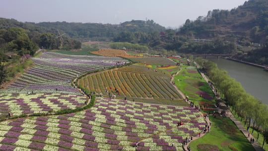 纳溪花田酒地景区