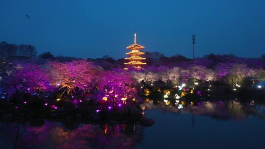 武汉樱花园夜景
