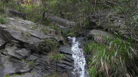 4K岩石泉水水流夏天小河流升格视频