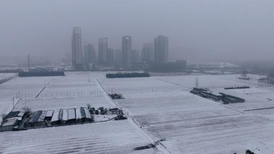 大雪中的田地和高楼高清在线视频素材下载