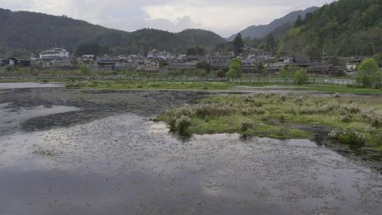 2023.04.03 腾冲北海湿地日出 云雾 仙境航拍4k_0293