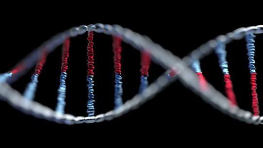 红色和蓝色DNA链-科学概念背景4K