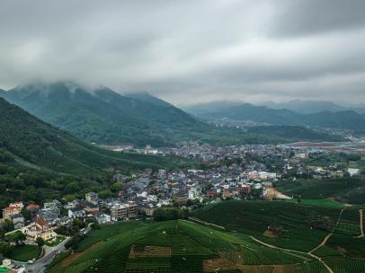 阴天时的杭州龙坞茶风景区航拍延时