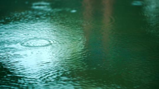 初春的小雨-雨滴湖面涟漪特写视频素材模板下载