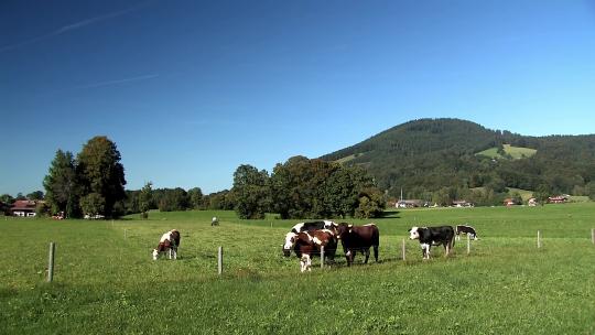 德国巴伐利亚阿尔卑斯山边缘的草原和美丽的山脉全景。