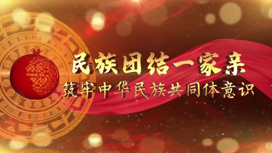 歌颂民族团结AE
