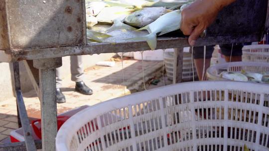 三亚渔港码头渔船卸鱼视频素材模板下载