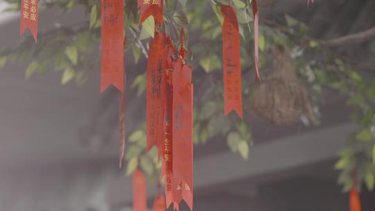 唯美古村落门神老西关古建筑骑楼许愿树砖瓦