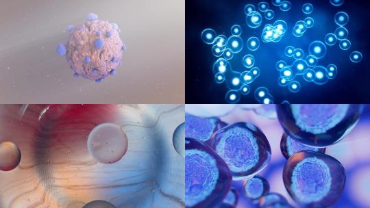 【合集】显微镜下的各种细胞特写