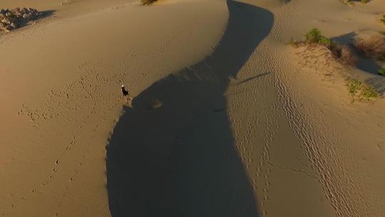 沙漠里的人视频素材模板下载