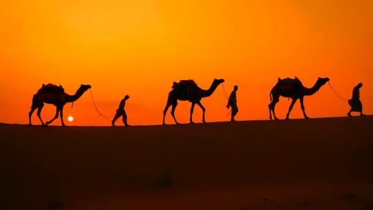 日落余辉下的骆驼队
