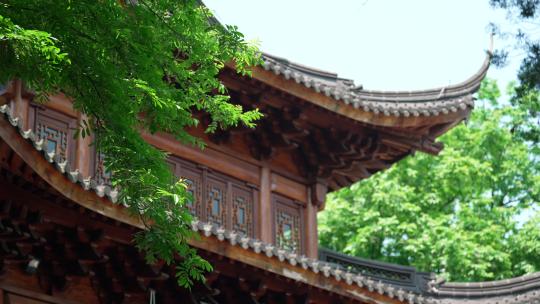 杭州下天竺 夏天寺庙飞檐前的树叶随风飘动