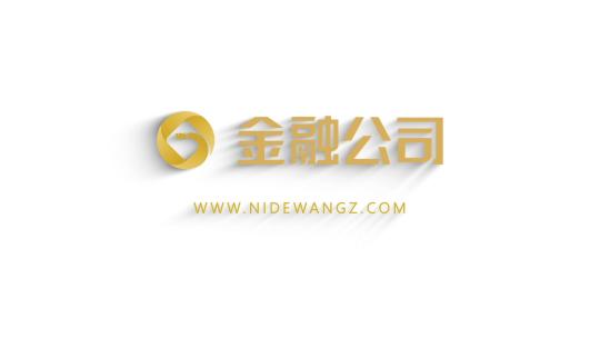 白色简洁金属LOGO