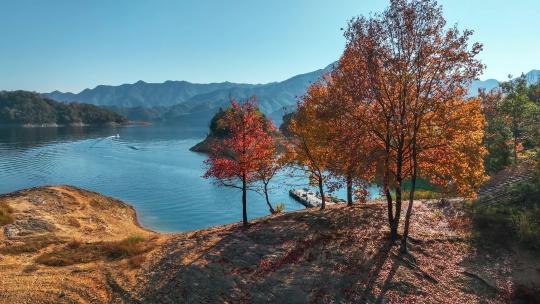 黄山太平湖秋色航拍