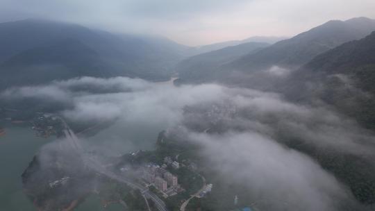 广州从化流溪河森林公园水库航拍