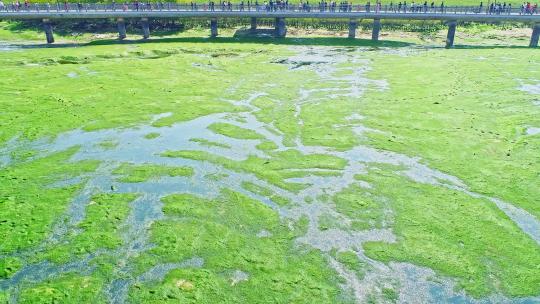 4K航拍厦门翔安下谭尾湿地公园