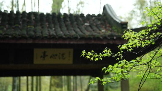 杭州云栖竹径春季清明节雨天古建筑自然唯美