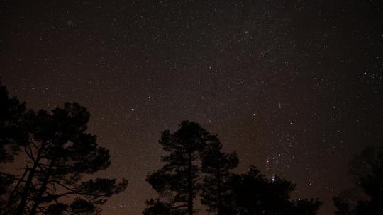 夜晚森林星空延时唯美繁星