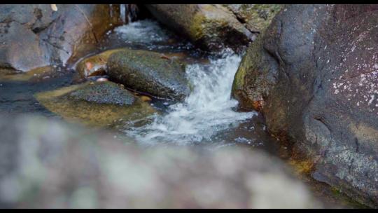 4k原始森林水冲击石头小溪石头河流激流