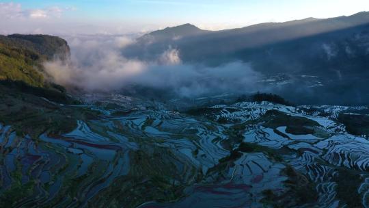 航拍云南元阳梯田