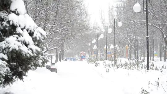 3979_城市公园上空的降雪