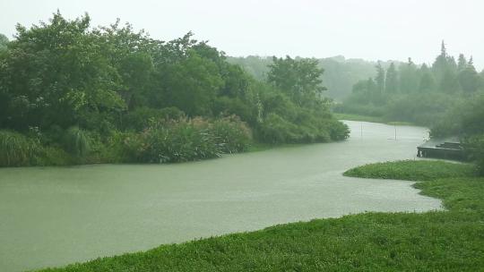 l1西溪生态区细雨