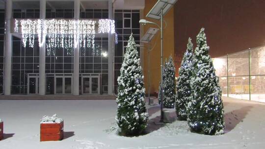 白雪覆盖的街道上有圣诞树