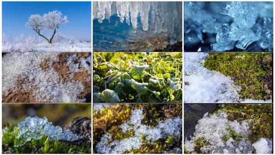 春天冰雪融化 万物复苏高清在线视频素材下载