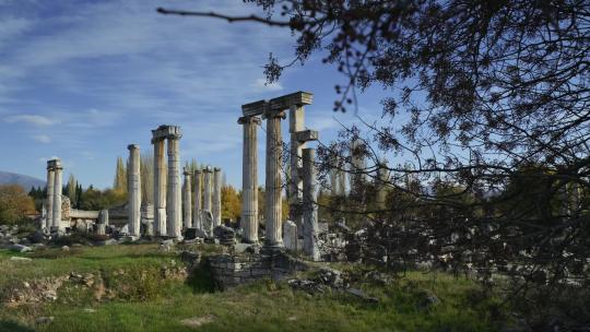 位于自然古城阿芙罗迪西亚斯的废墟。柱子400。艾登土耳其。2.
